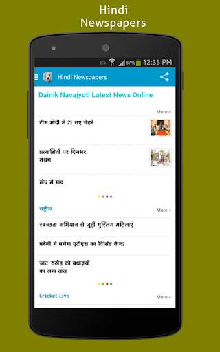 Hindi Newspapers screenshot 4