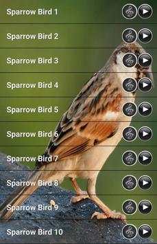 Sparrow Bird Sound screenshot 5