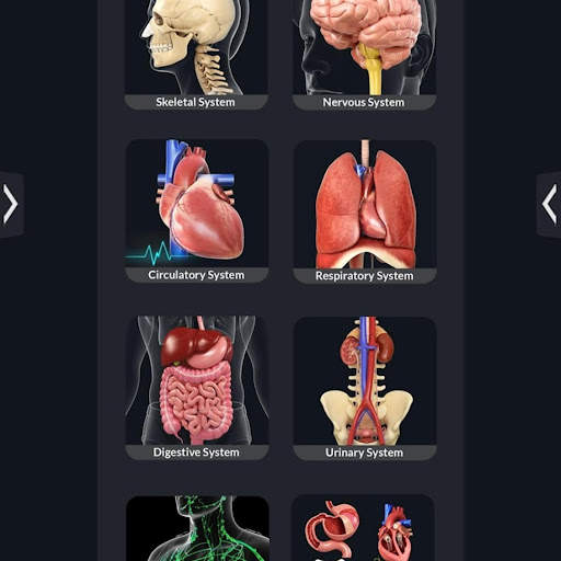 Human Anatomy screenshot 17