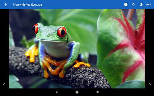 File Viewer for Android screenshot 12