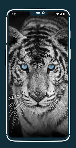 Tiger Wallpapers screenshot 5