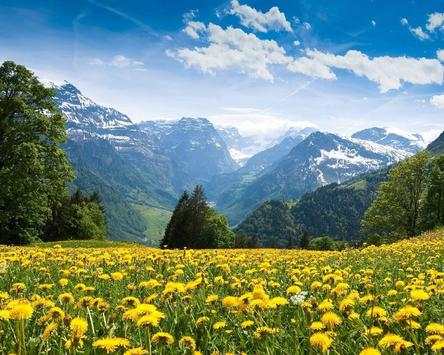 Puzzles Nature Beautiful Jigsaw Games screenshot 4