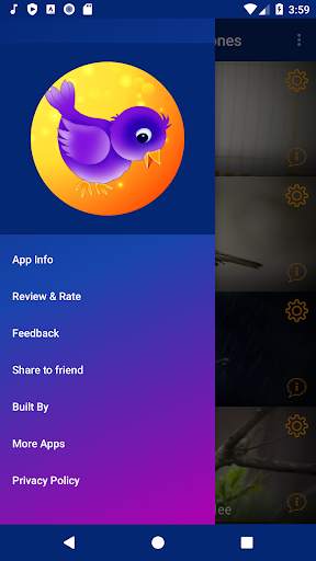 Bird Sounds and Ringtones screenshot 5
