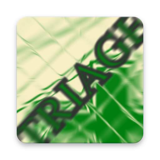 Triage Master 1.0