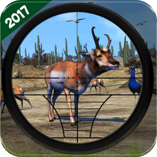Birds & Animals Hunting 3D 1.1