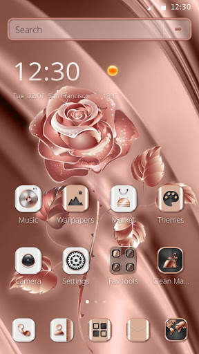 Rose Gold Rosette Theme screenshot 1