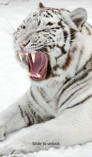 White Tigers Lock Screen Wallpaper screenshot 3