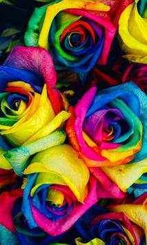 Flower Wallpapers 2020 screenshot 1