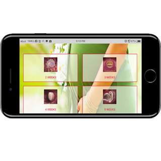 Pregnancy Development screenshot 5