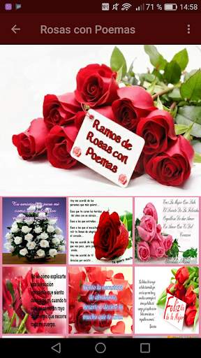 Roses with Beautiful Phrases 🌹 10 تصوير الشاشة
