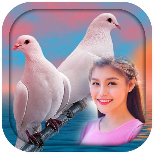 Love Birds Photo Frames 2.6