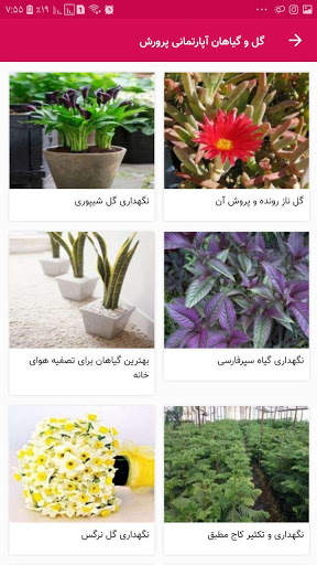 گل و گیاهان اپارتمانی   پرورش و نگهداری screenshot 3