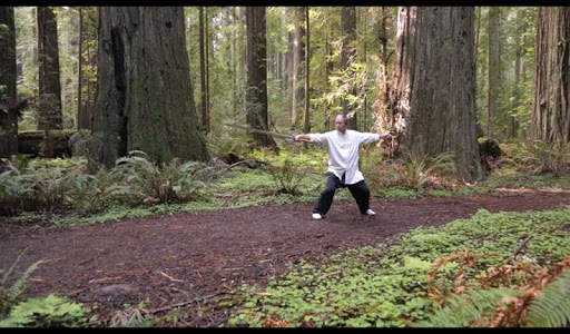 Tai Chi Sword for Beginners (YMAA) screenshot 5