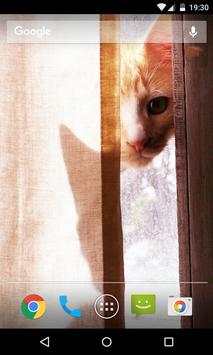 Cat Wallpaper screenshot 2