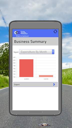Driving Instructor Professional screenshot 8