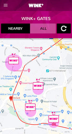 WINK  screenshot 4