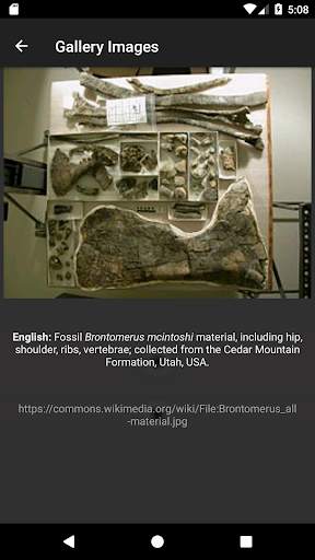 Dinosaurs: Encyclopedia screenshot 5
