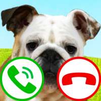 chamada falsa cachorro jogo on 9Apps