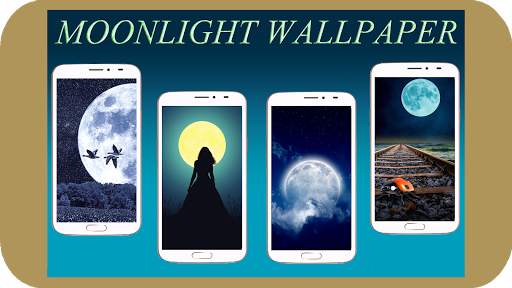 Moonlight Wallpaper 4K screenshot 1