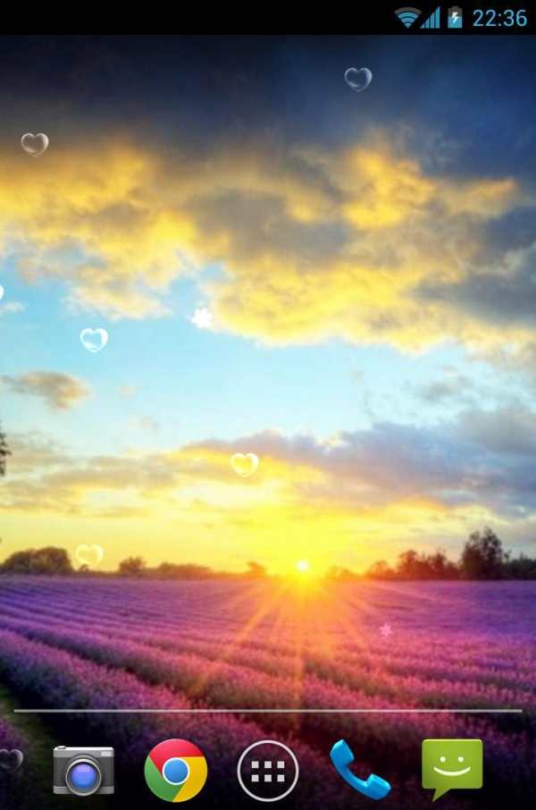 Lavender Live Wallpaper screenshot 3