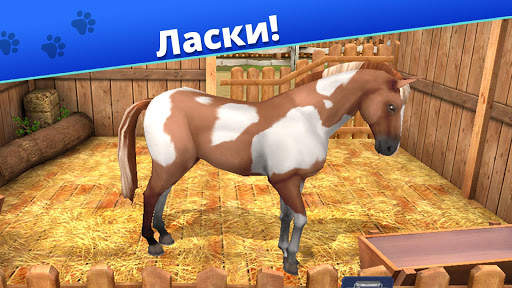 Pet World - приют для животных скриншот 5