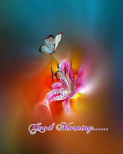 Good Morning Wishes 2 تصوير الشاشة