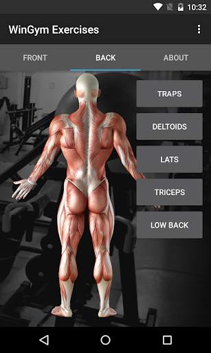 WinGym Exercises screenshot 2