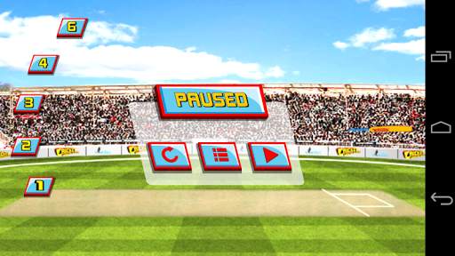 Best Cricket screenshot 4