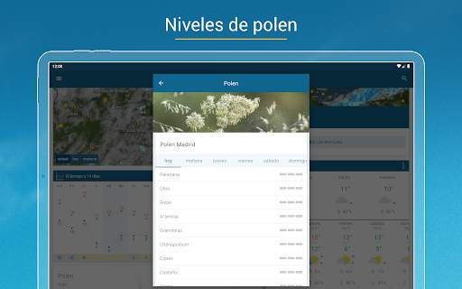Tiempo & Radar: tu previsión screenshot 23