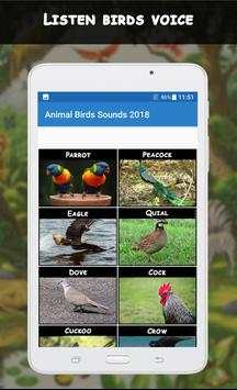 Animal Sounds App: Beautiful Birds Sounds screenshot 6