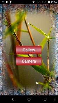 All Type Photo Frames screenshot 2