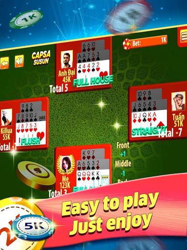 Capsa Susun screenshot 4