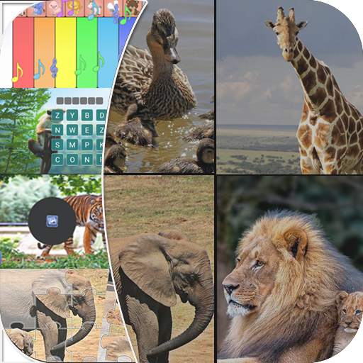 Animals sounds – learning animals and birds names 1.3