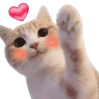 Cute Cat Stickers