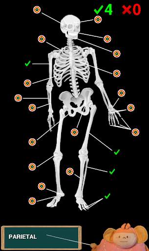 Funny anatomy screenshot 3