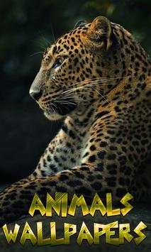 Animals Wallpapers screenshot 1