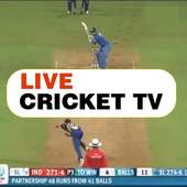 All Cricket - live cricket tv advices logo