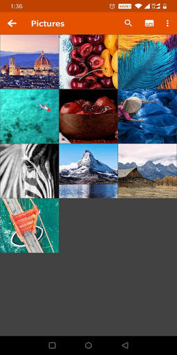Lite Gallery screenshot 2