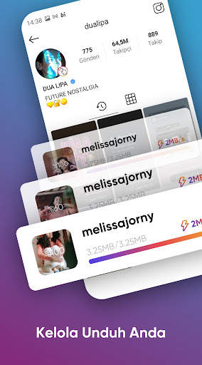 Story Saver for Instagram - Story Downloader screenshot 2