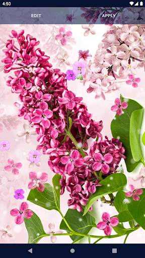 Spring Flower Live Wallpaper screenshot 6