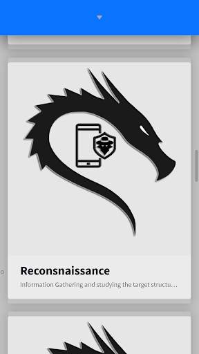 Learn Ethical Hacking Course Offline screenshot 7