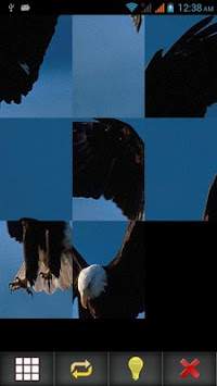 Birds Puzzle screenshot 7