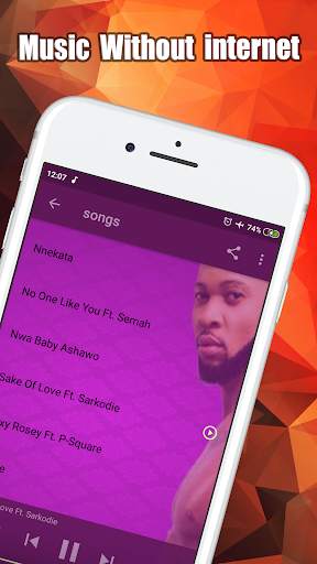 Flavour Music Without Internet screenshot 3