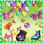Bubble Butterfly journey Shoot