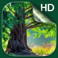Forest Live Wallpaper HD on 9Apps