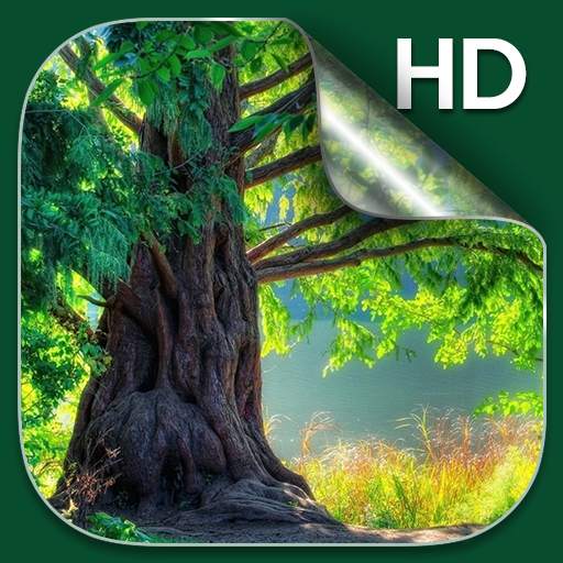 Forest Live Wallpaper HD 2.8