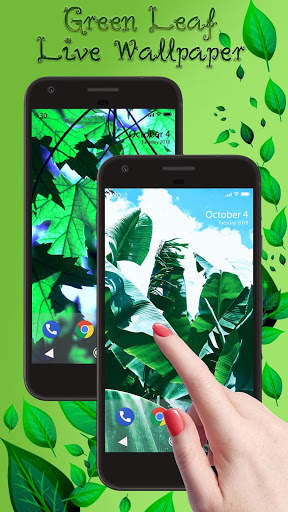 Green Leaf APUS Live Wallpaper screenshot 2