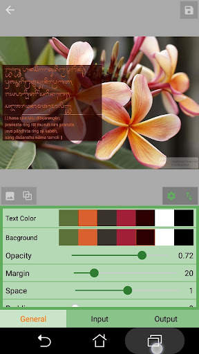 Balinese Script Transliteratio screenshot 6