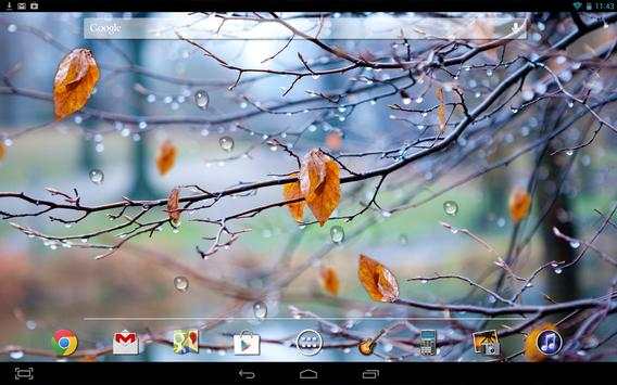 Autumn Raindrops Live HD screenshot 3