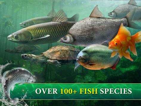 Big Fish King screenshot 5